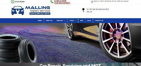 Comprehensive Guide to Mold Inspection in Cocoa Beach