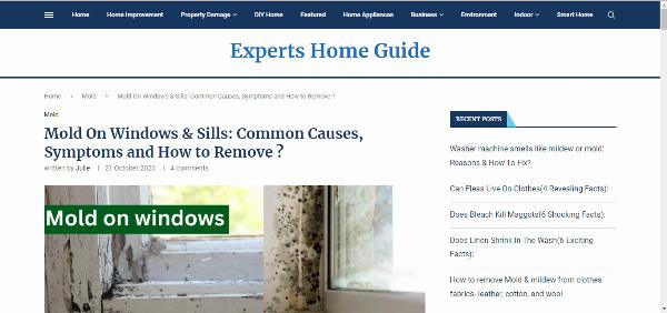 Dealing with Mold on Windows: Causes, Prevention, and Remediation