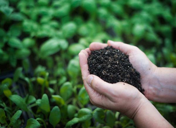 Organic Manure Manufacturing Plant Project Report 2024, Business Plan, Cost and Revenue